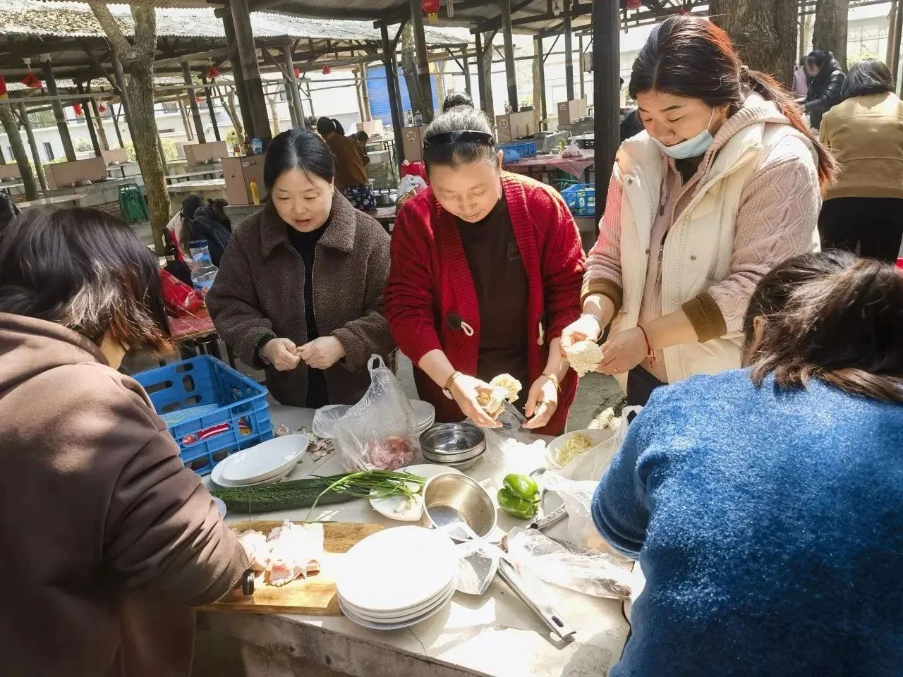 国产在线一区二区免费视频